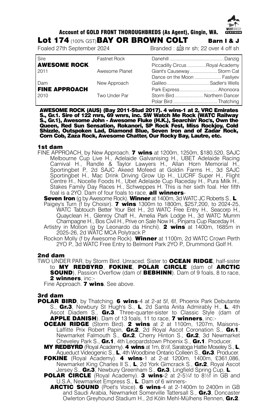 Pedigree - Lot 174