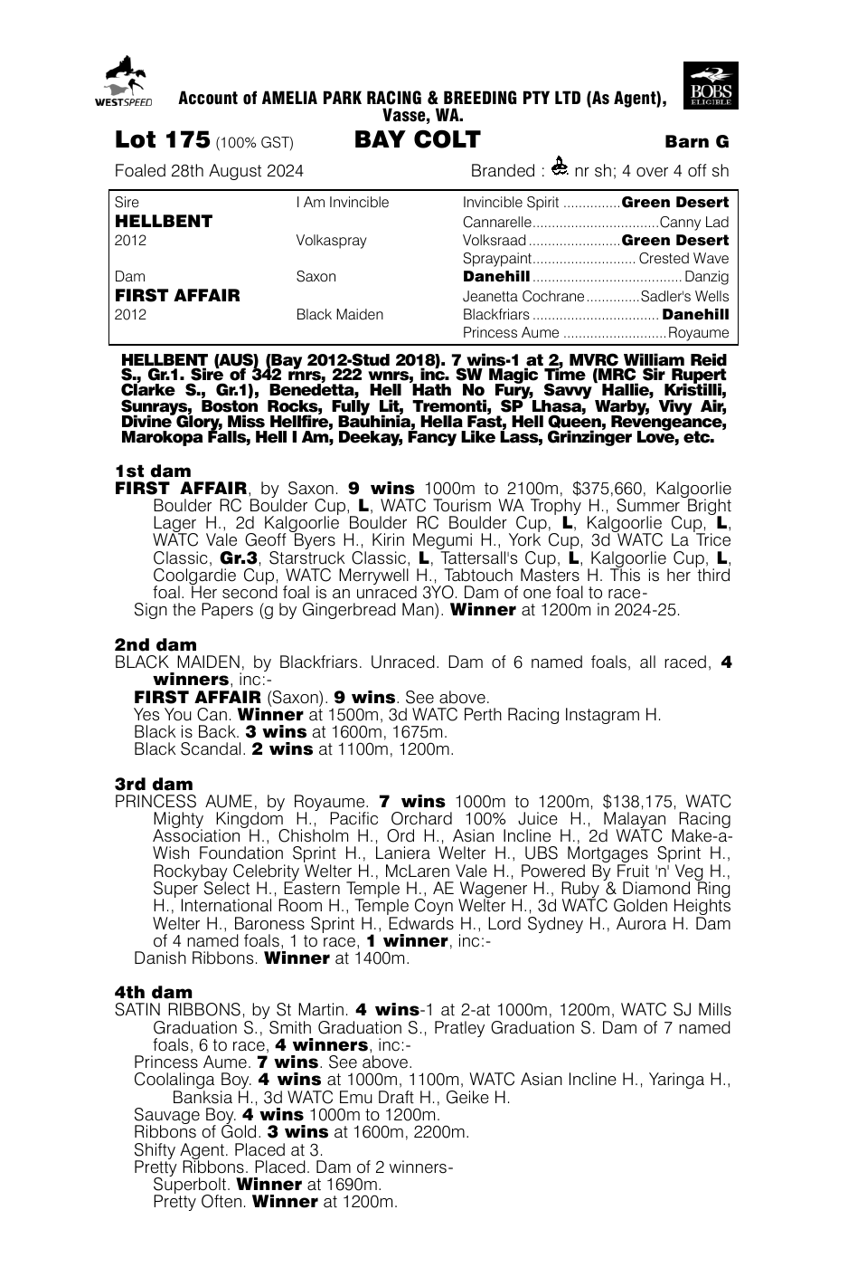 Pedigree - Lot 175