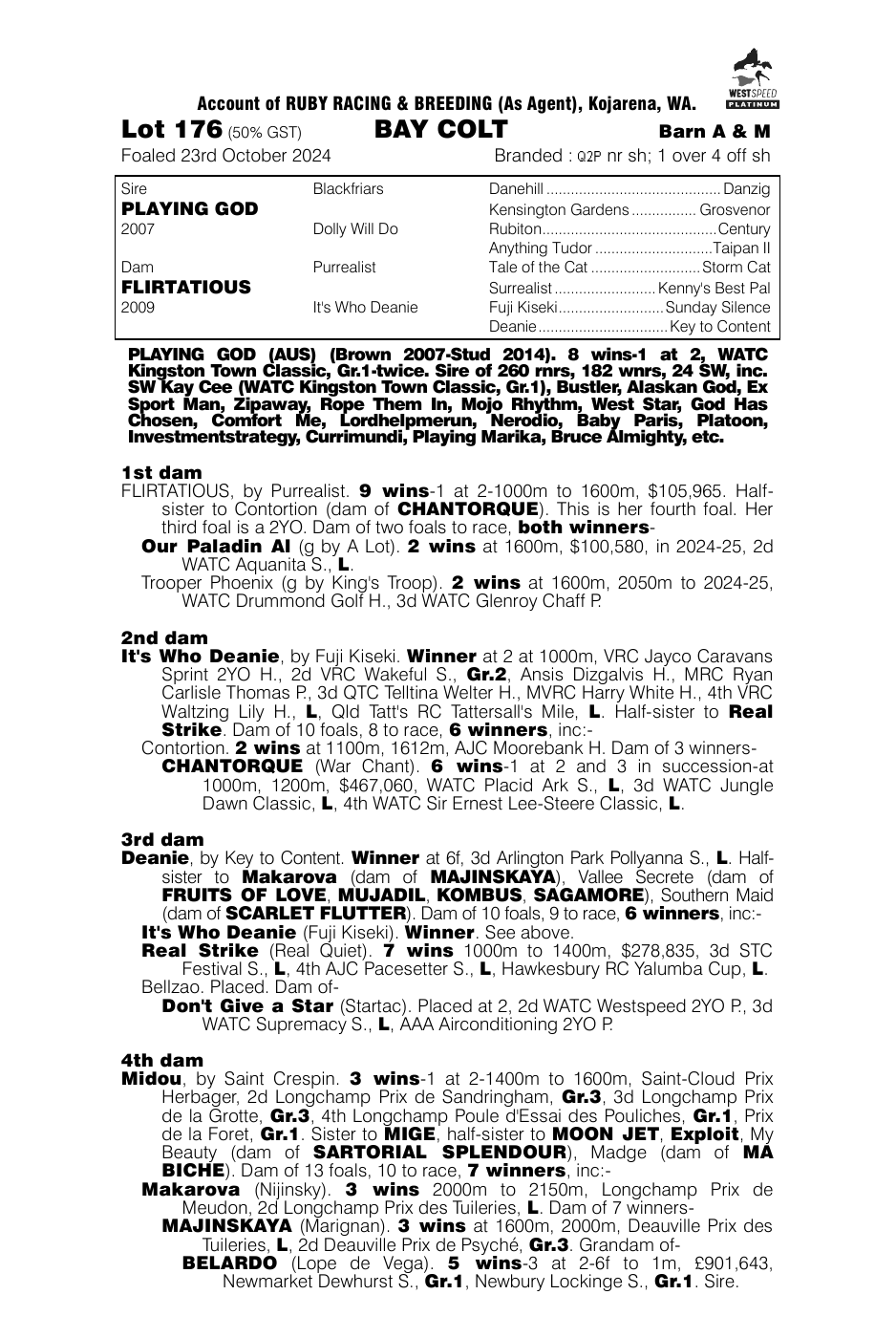 Pedigree - Lot 176