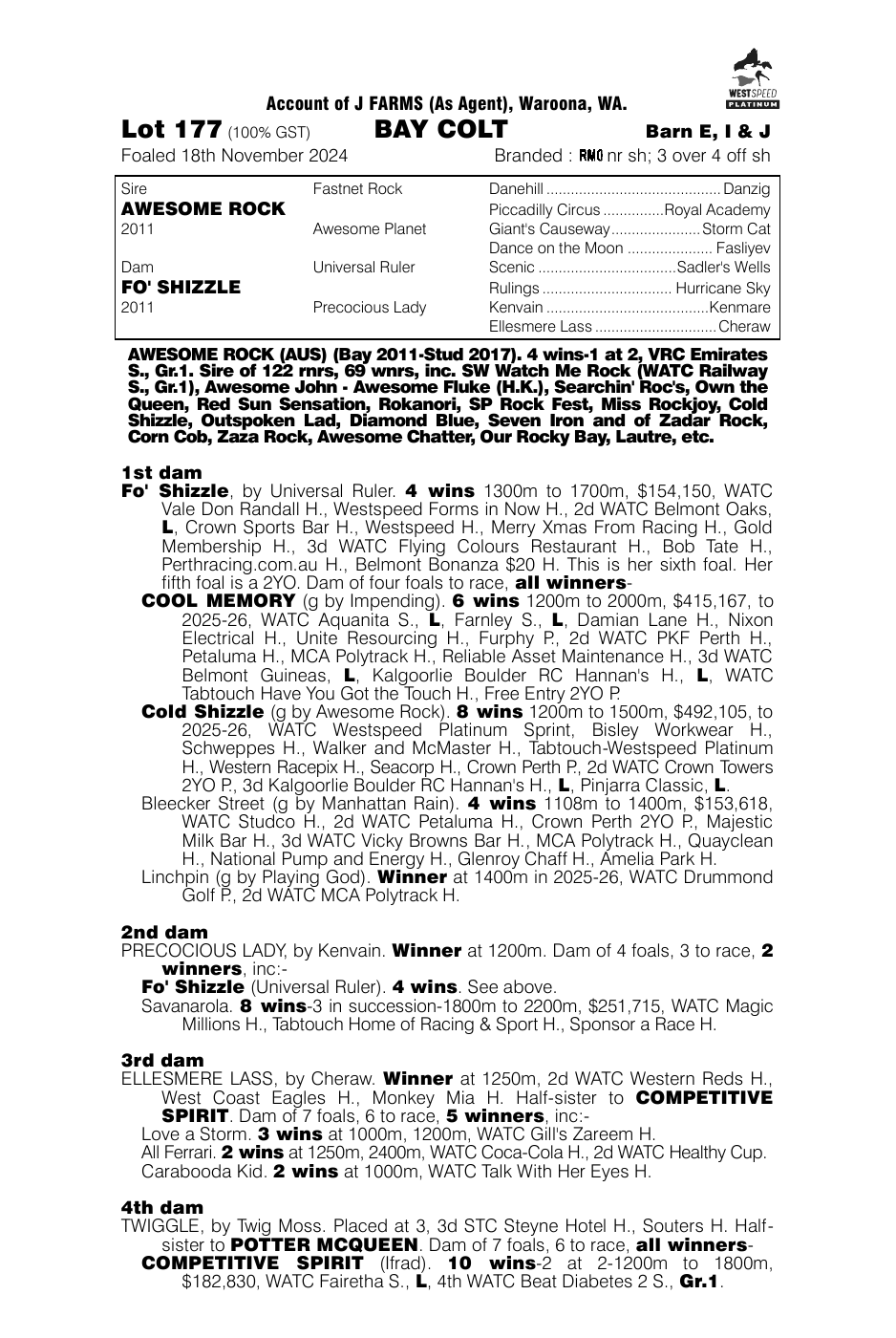 Pedigree - Lot 177
