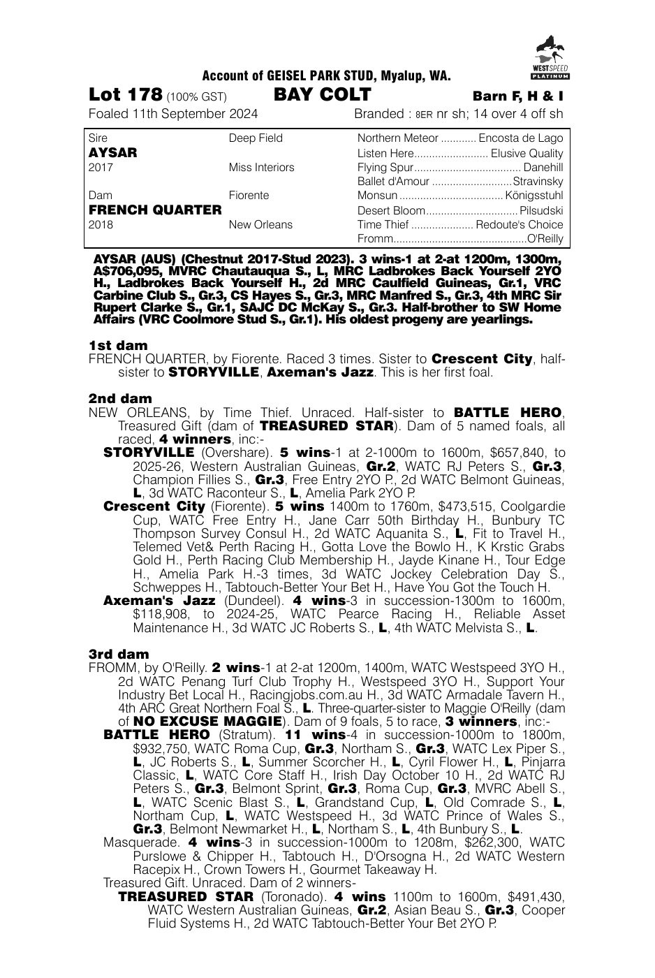 Pedigree - Lot 178