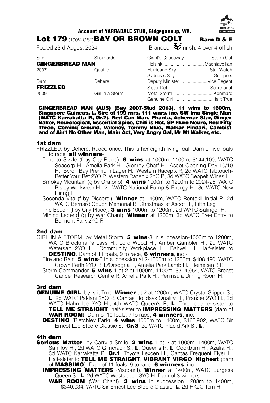 Pedigree - Lot 179