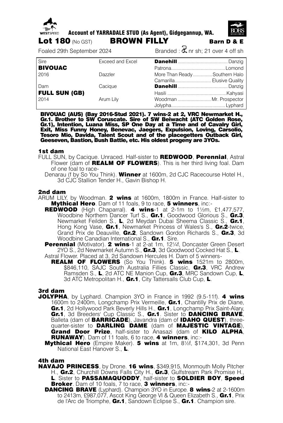 Pedigree - Lot 180