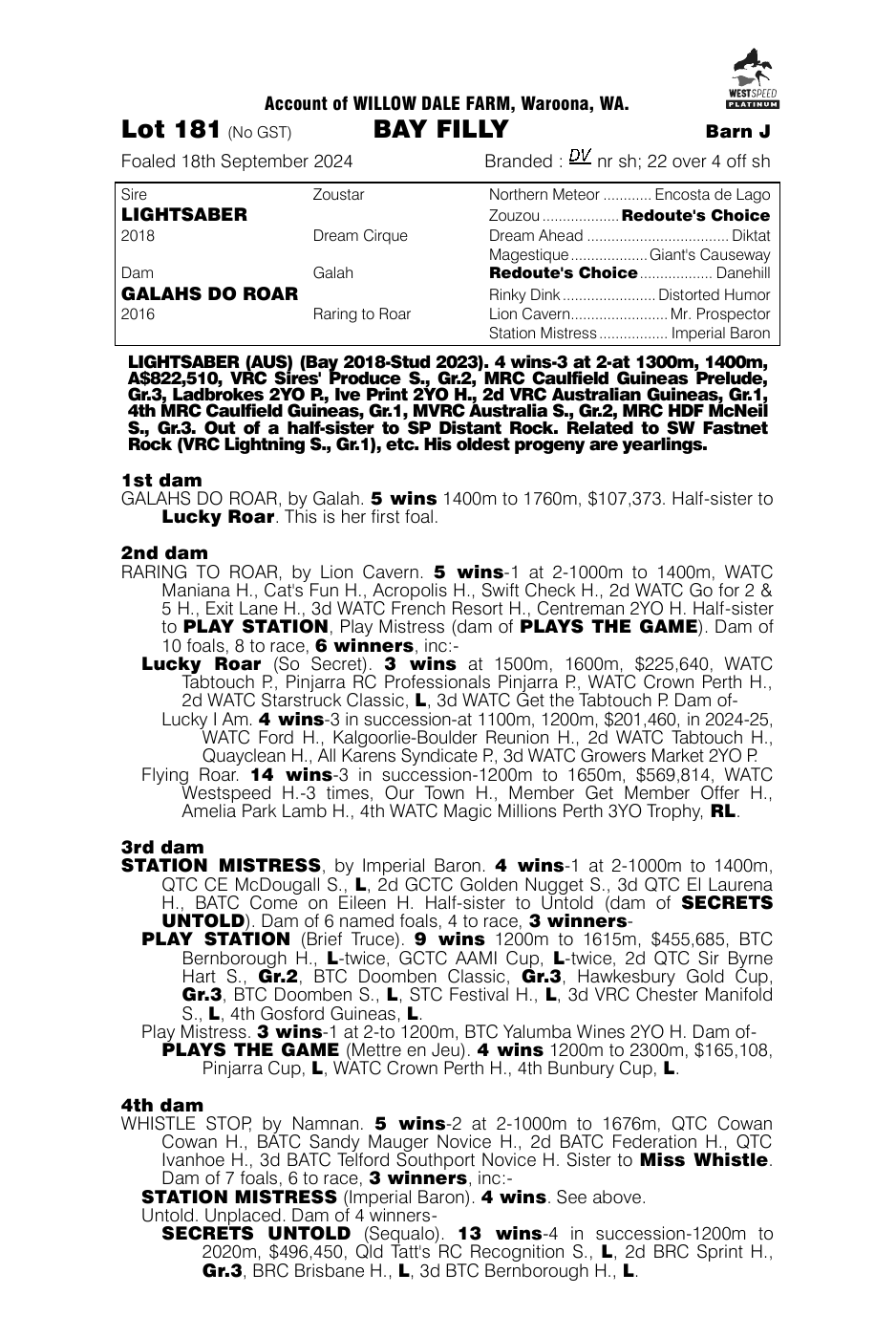 Pedigree - Lot 181