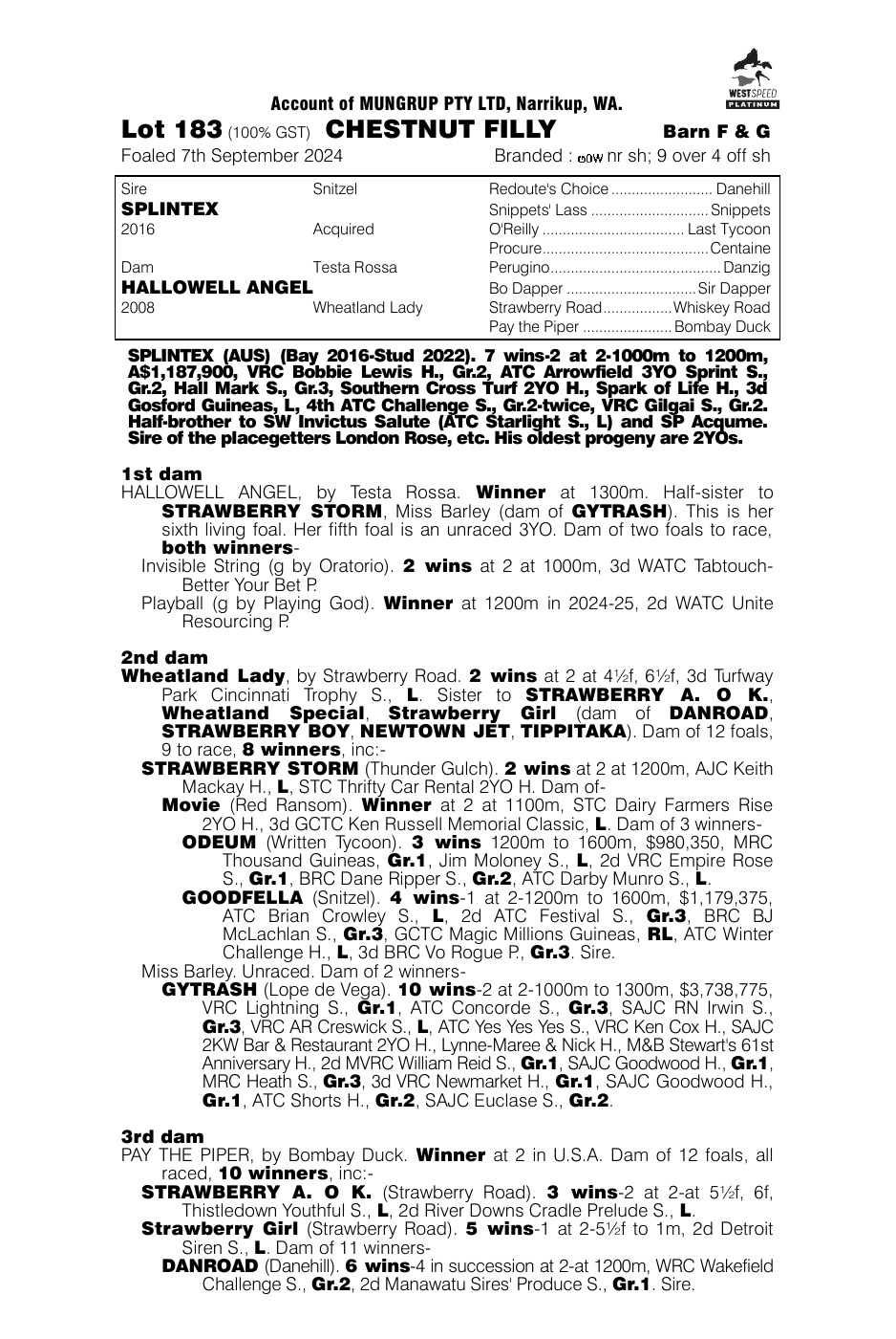 Pedigree - Lot 183
