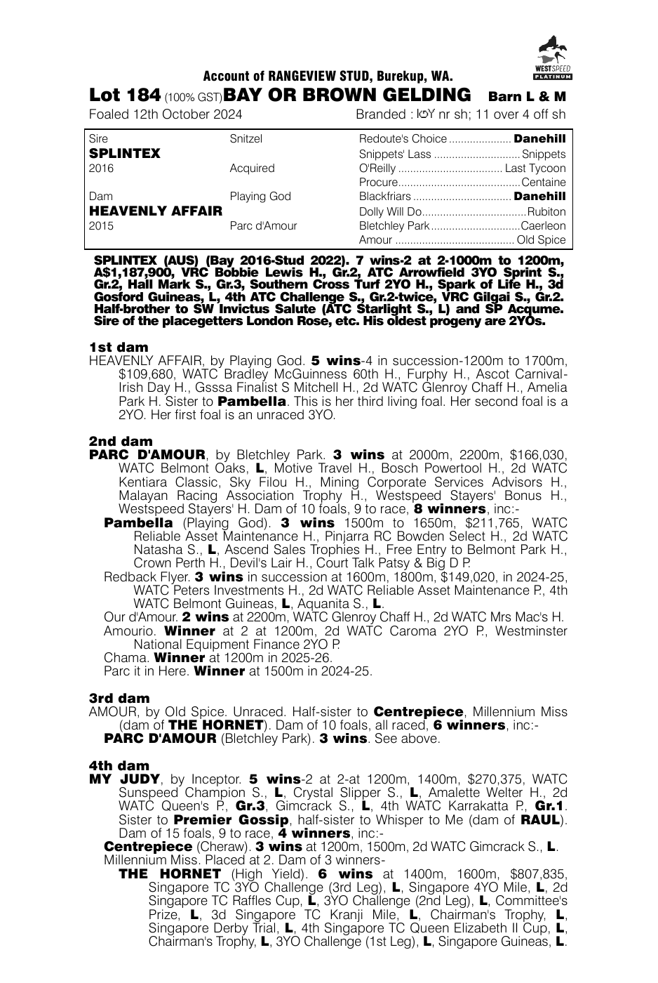 Pedigree - Lot 184