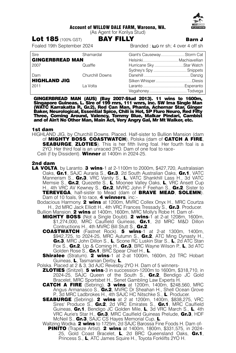 Pedigree - Lot 185