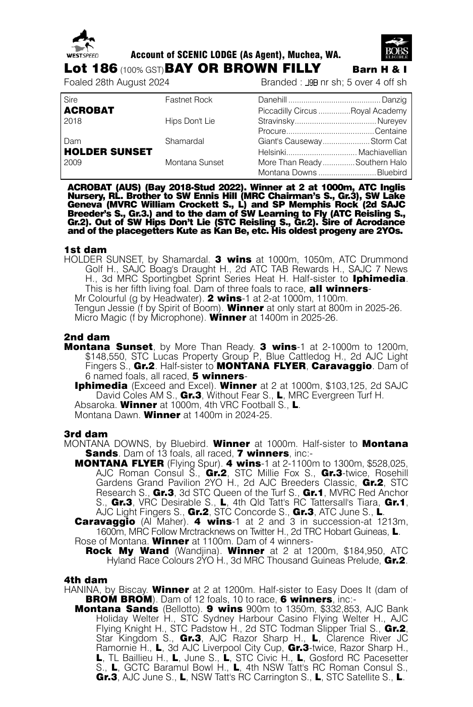 Pedigree - Lot 186