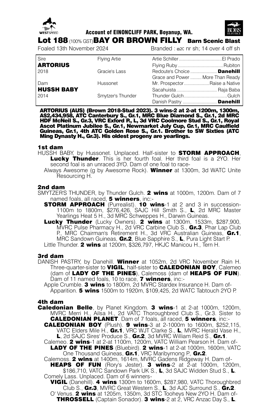 Pedigree - Lot 188