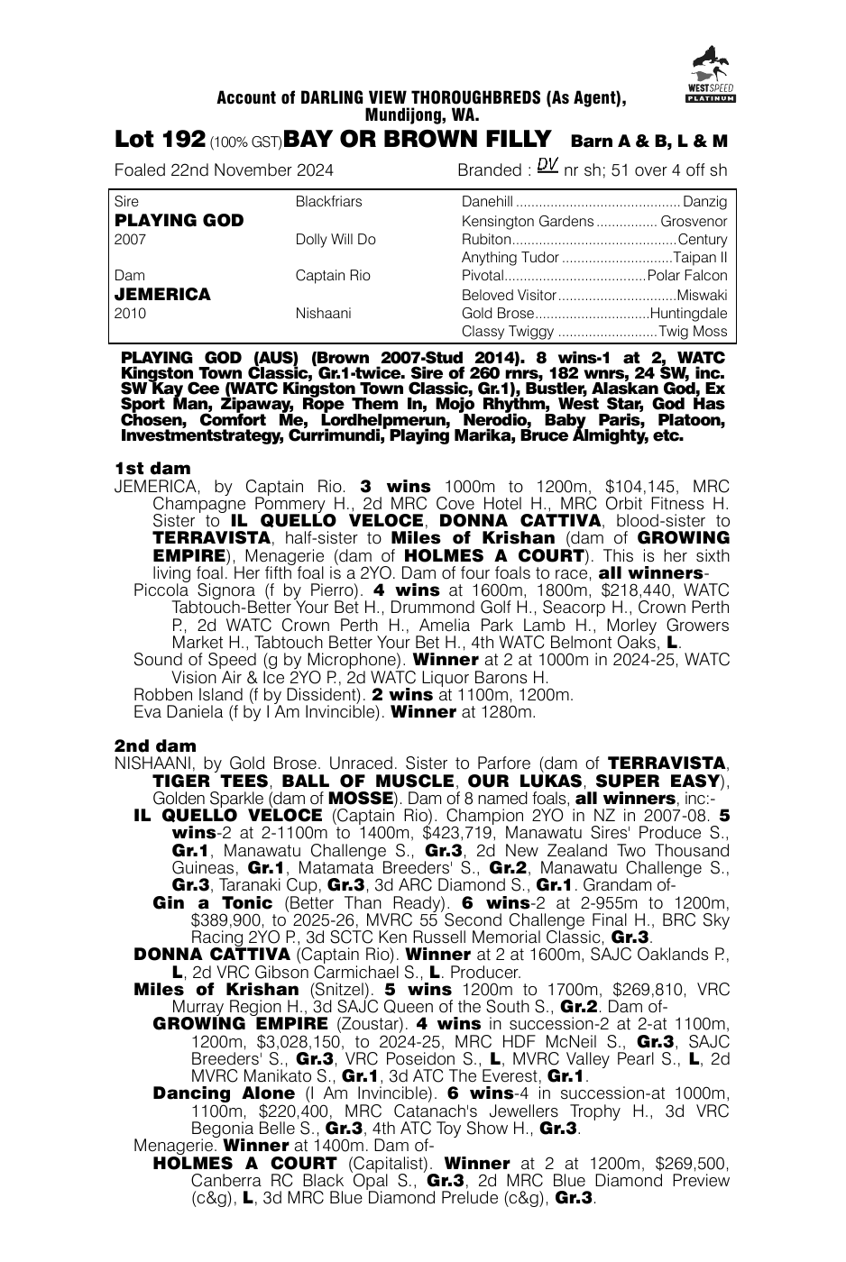 Pedigree - Lot 192