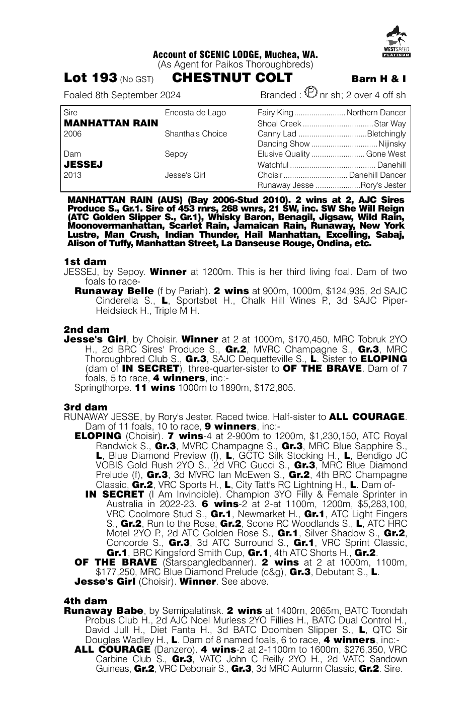 Pedigree - Lot 193
