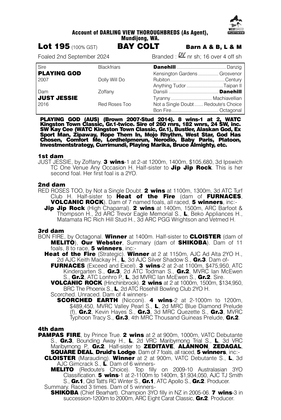 Pedigree - Lot 195