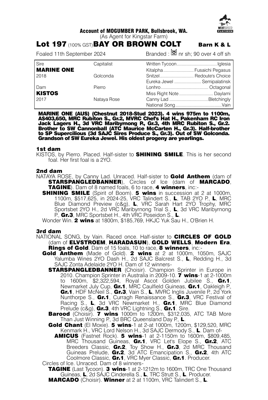 Pedigree - Lot 197