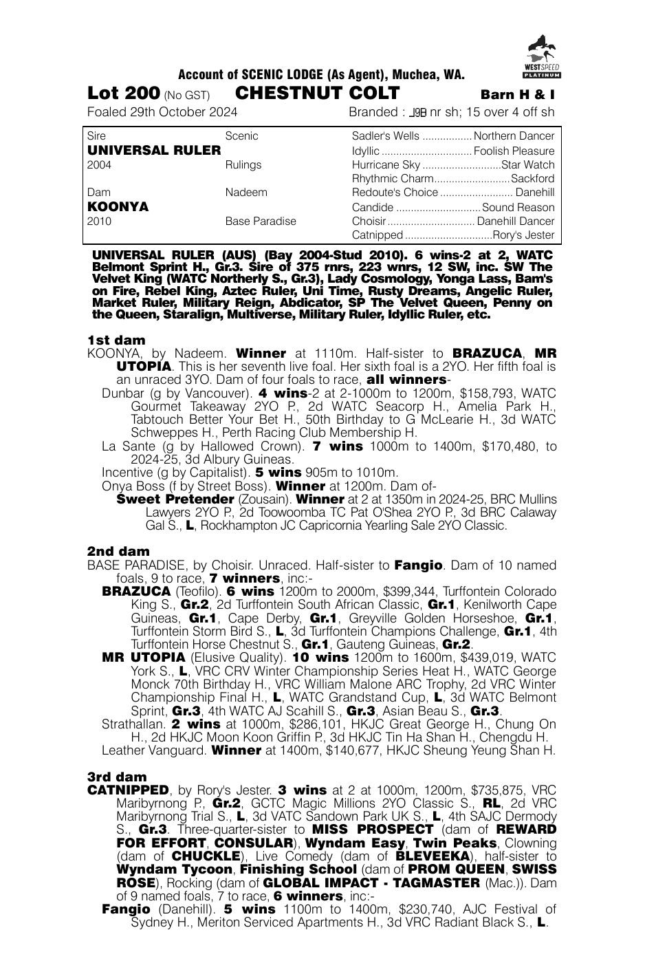 Pedigree - Lot 200