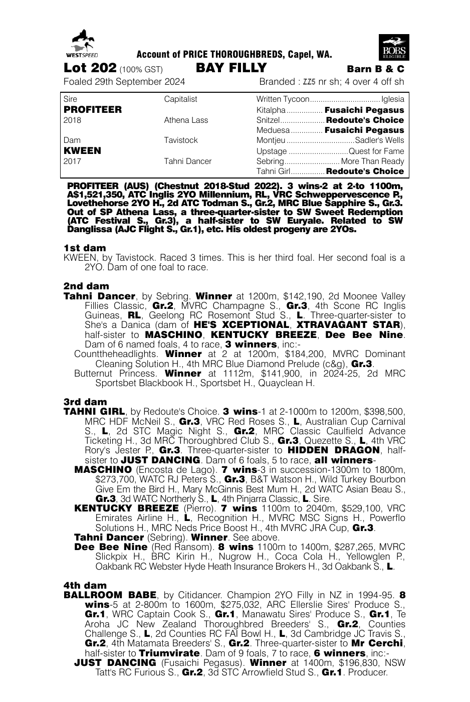 Pedigree - Lot 202