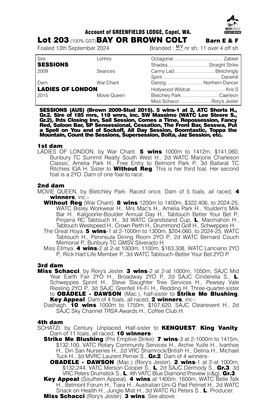 Pedigree - Lot 203