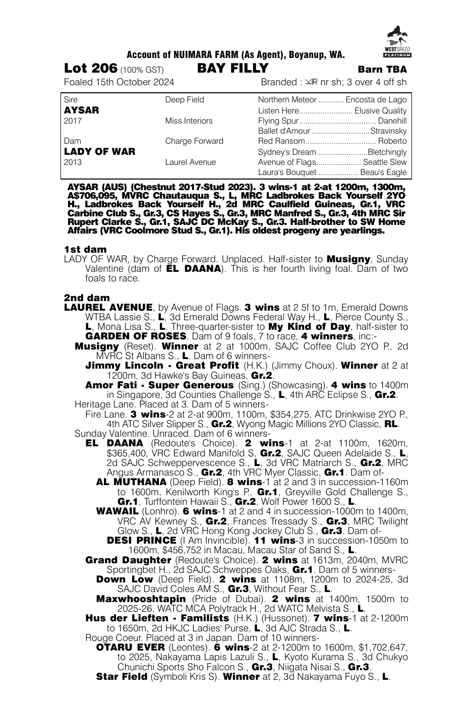 Pedigree - Lot 206