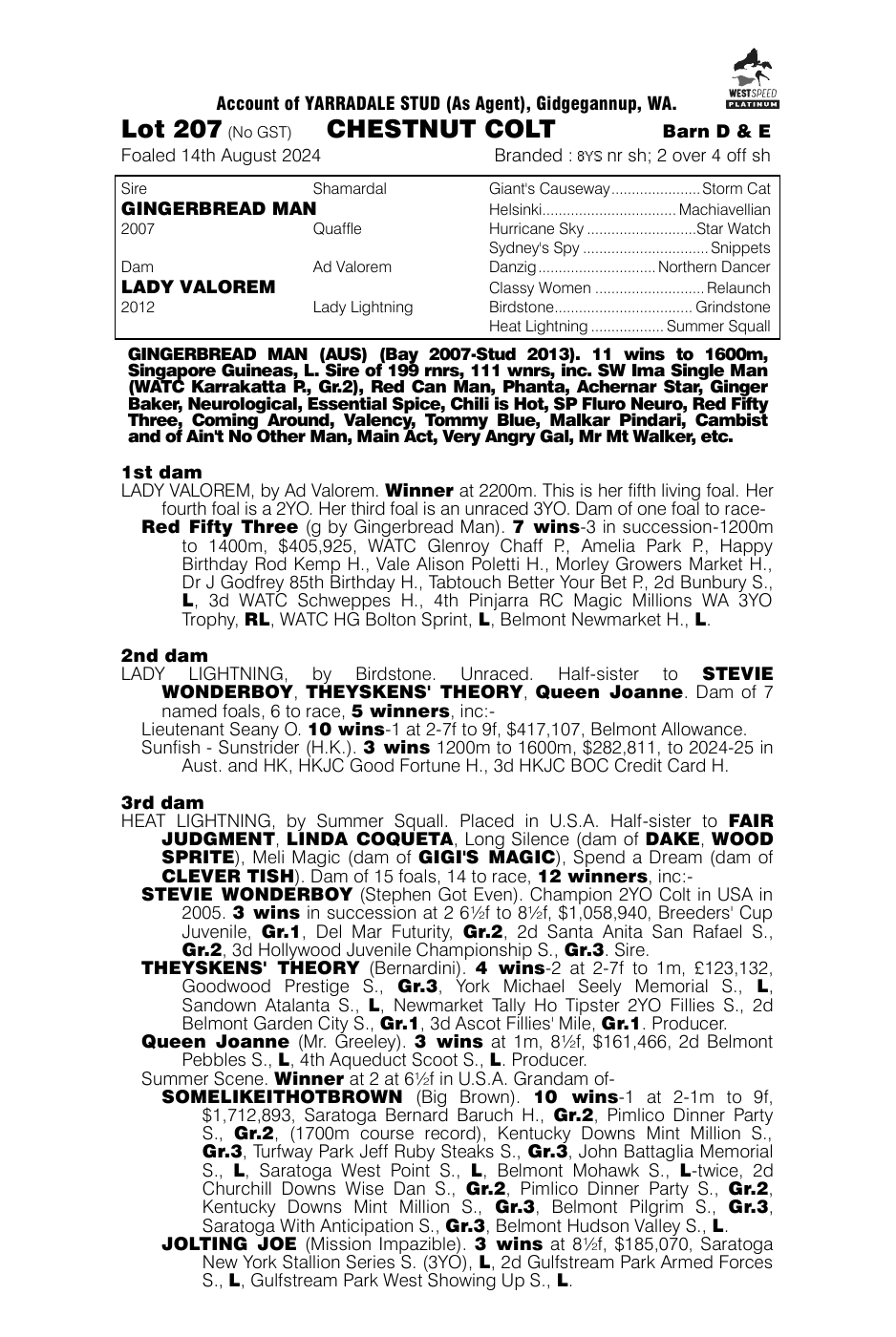 Pedigree - Lot 207