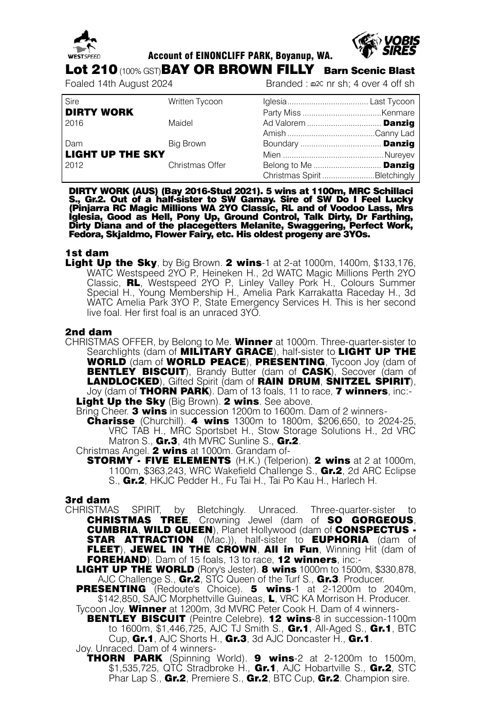 Pedigree - Lot 210