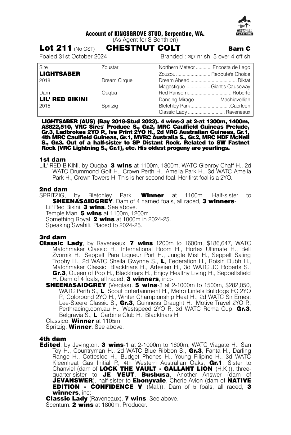 Pedigree - Lot 211