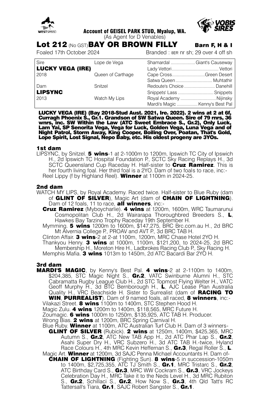 Pedigree - Lot 212