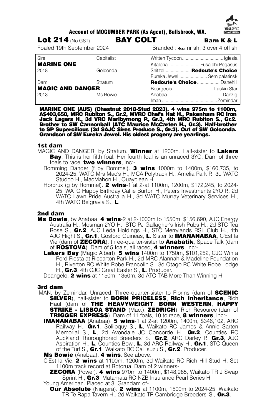 Pedigree - Lot 214