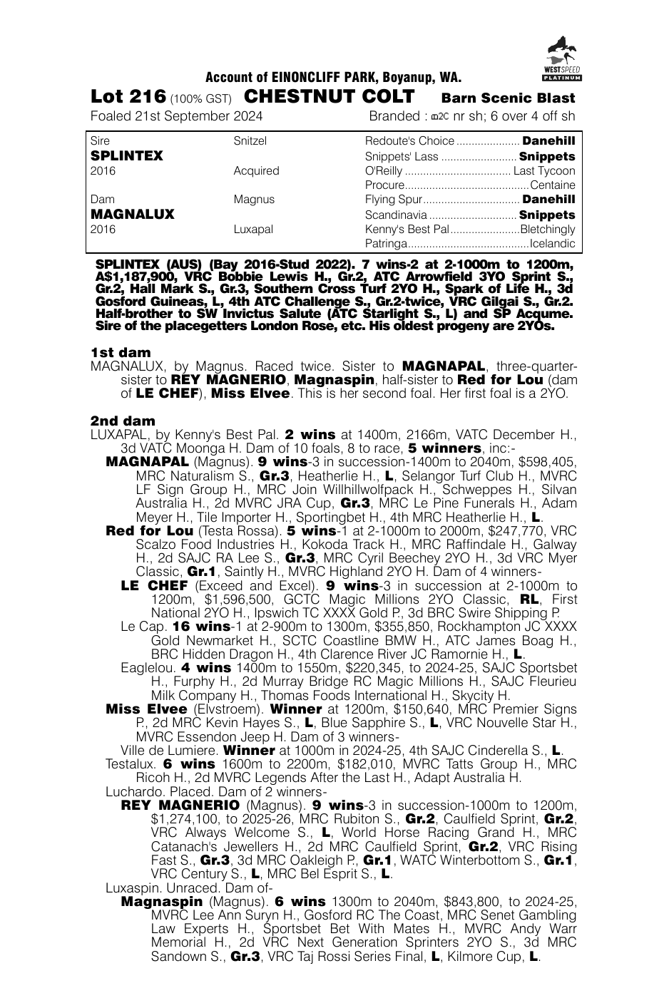 Pedigree - Lot 216