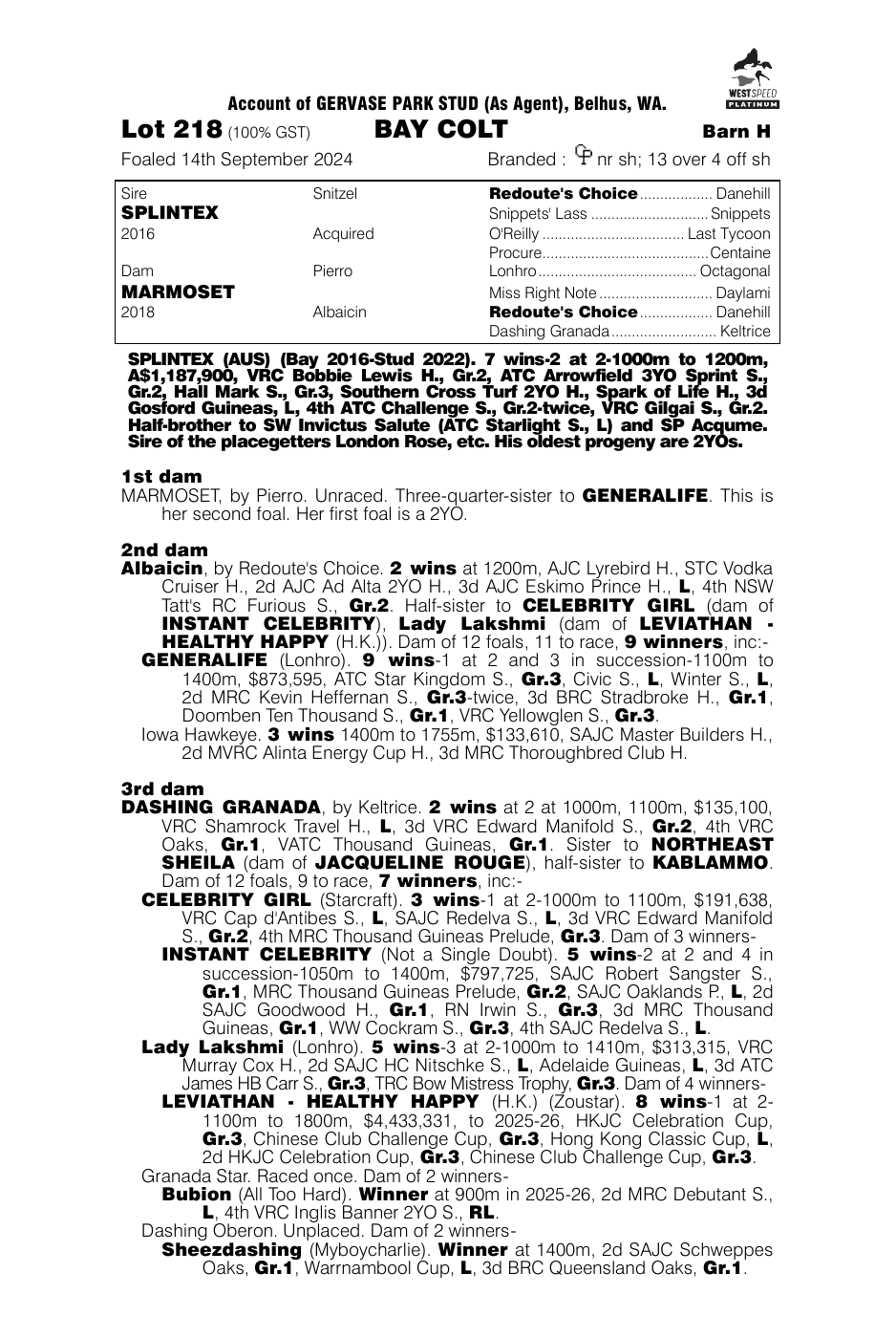 Pedigree - Lot 218