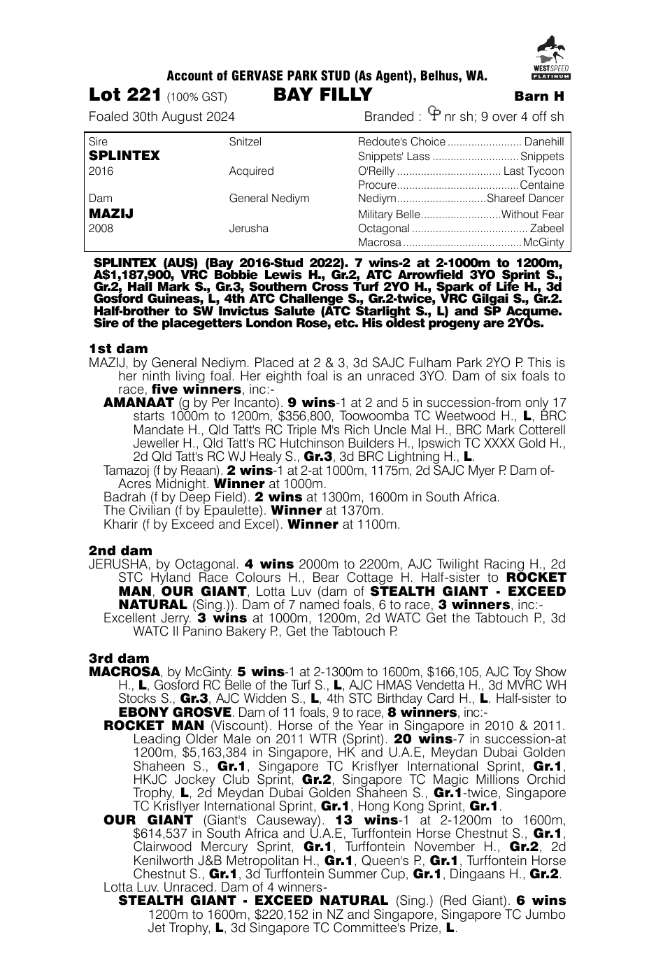 Pedigree - Lot 221