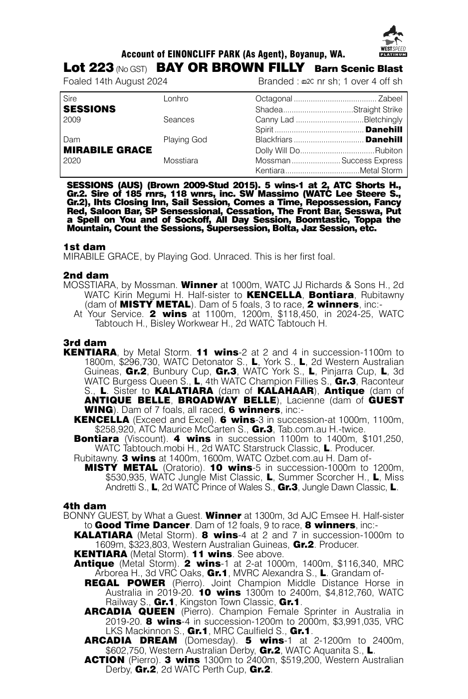Pedigree - Lot 223