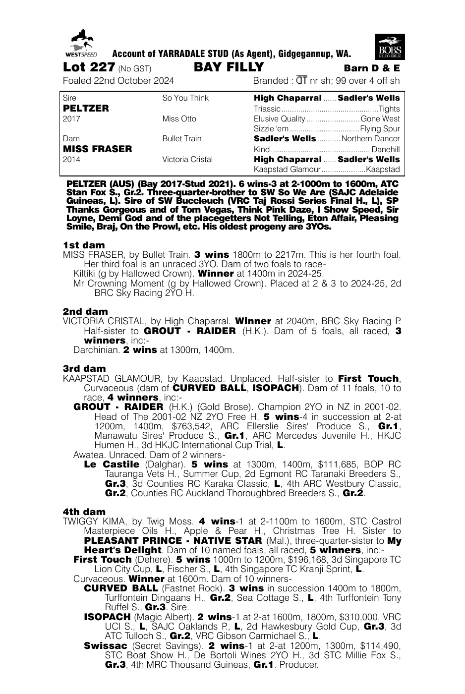 Pedigree - Lot 227