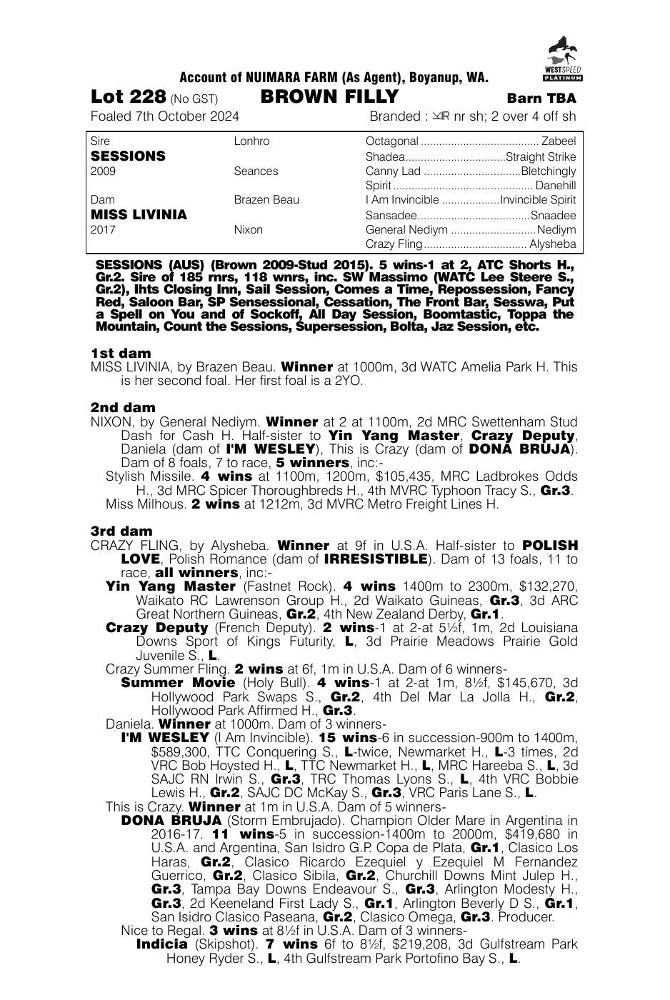 Pedigree - Lot 228