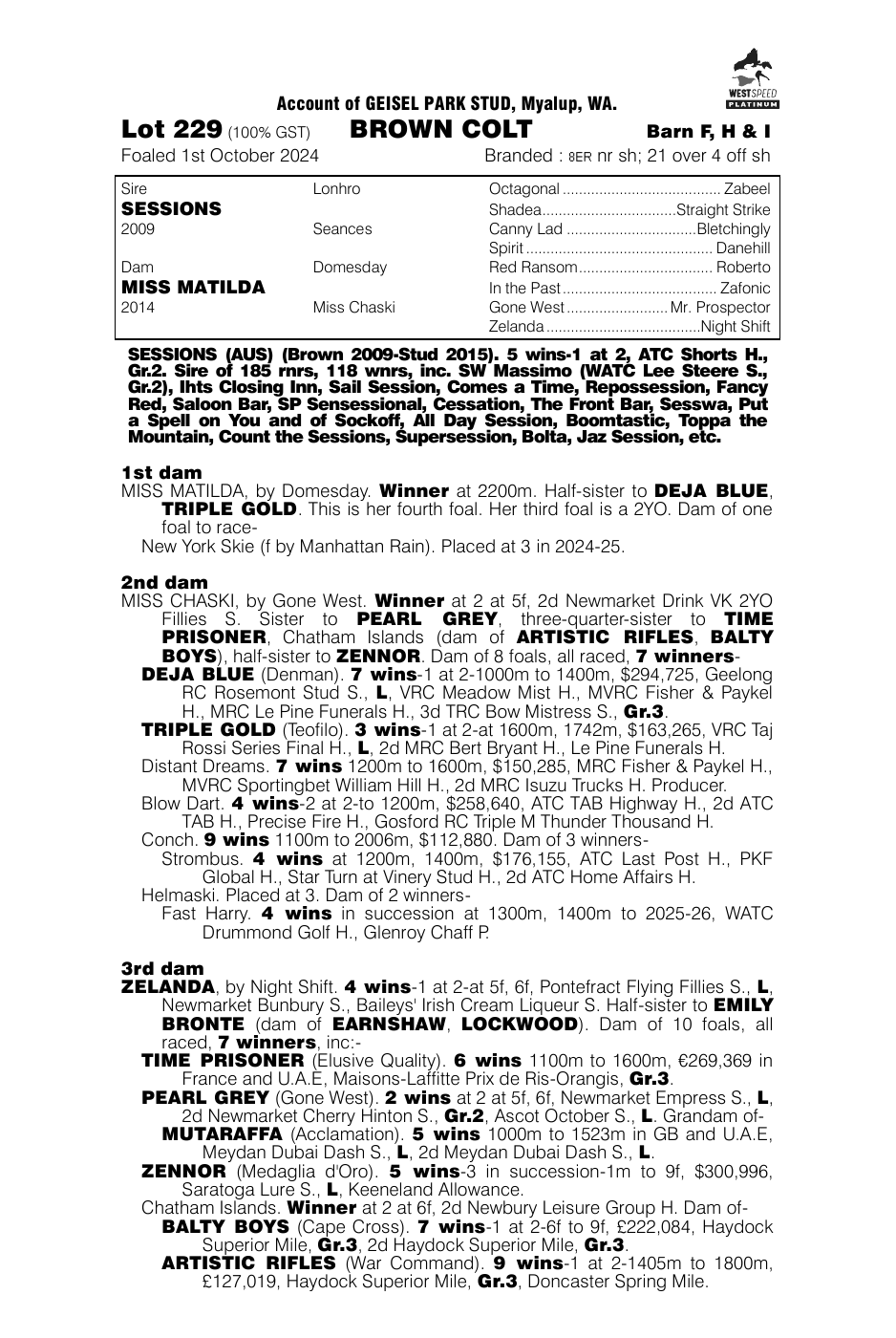 Pedigree - Lot 229