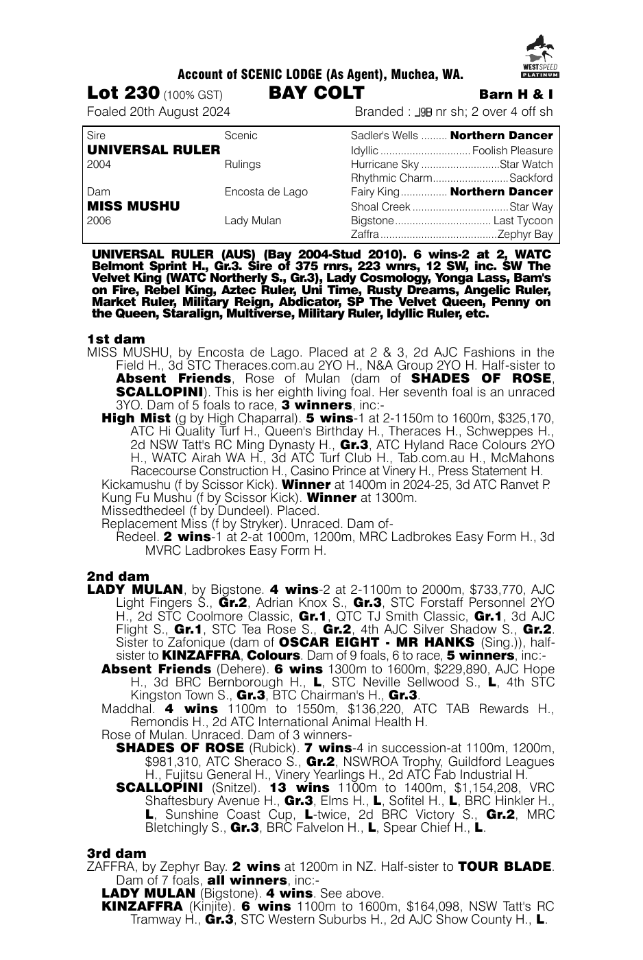 Pedigree - Lot 230