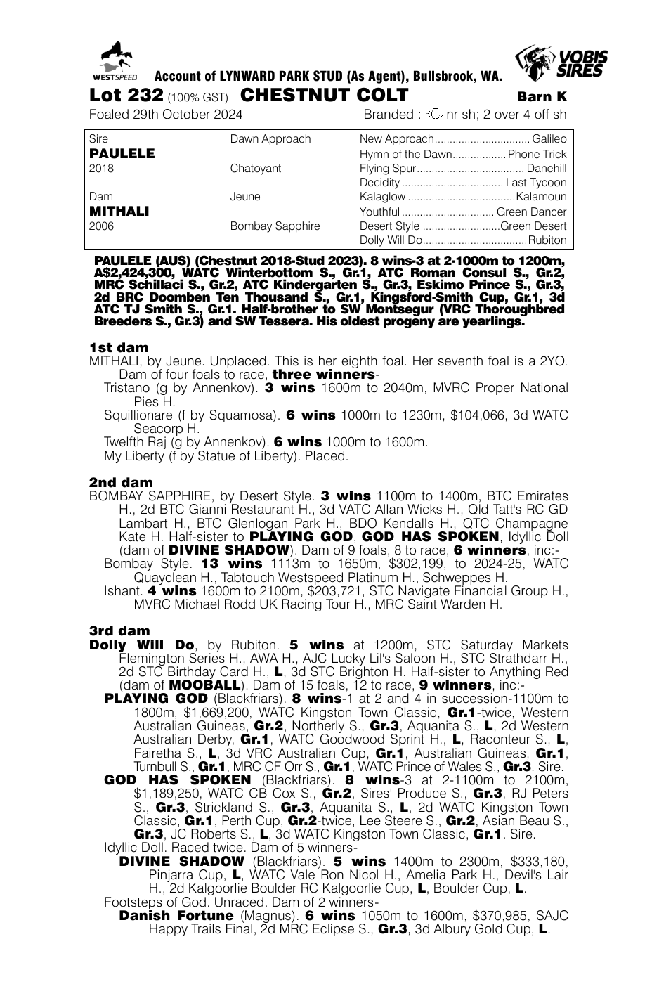 Pedigree - Lot 232