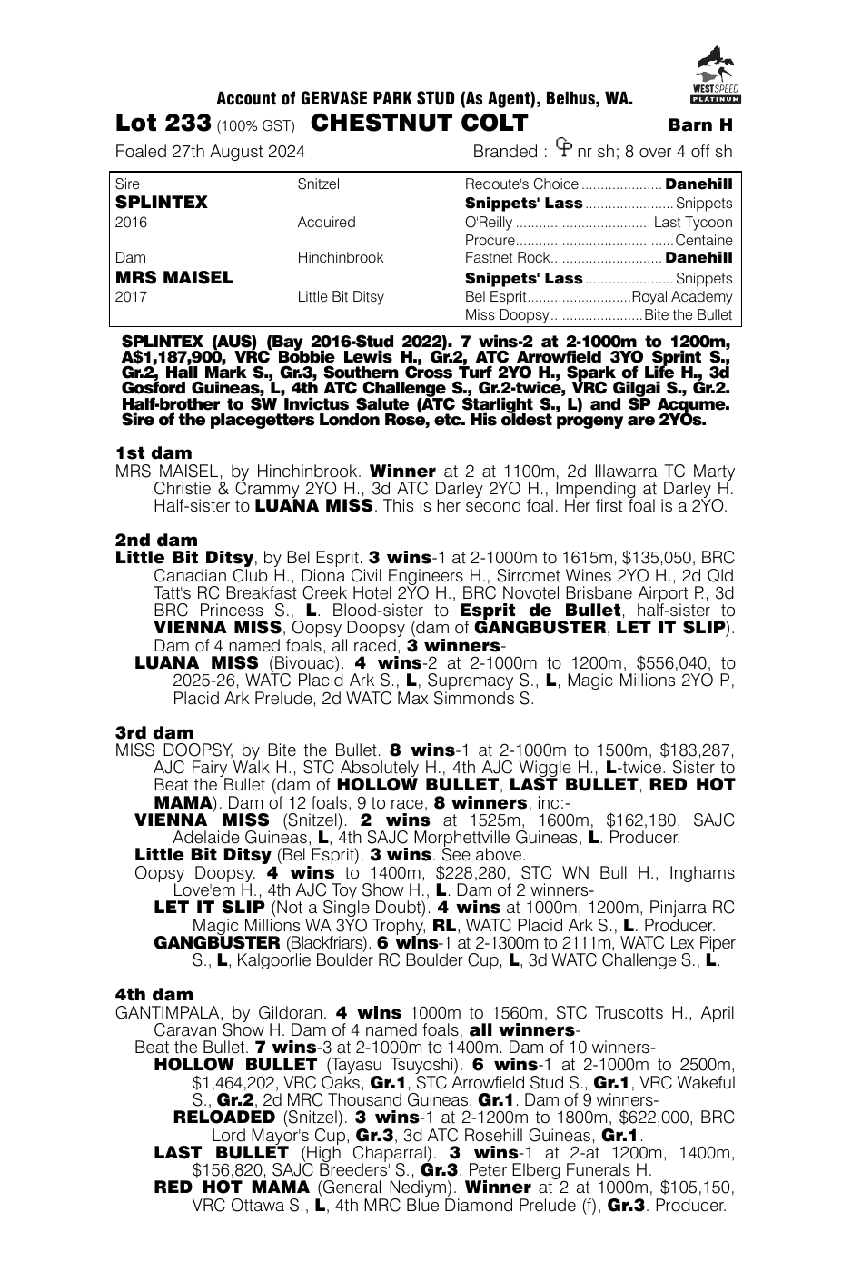 Pedigree - Lot 233