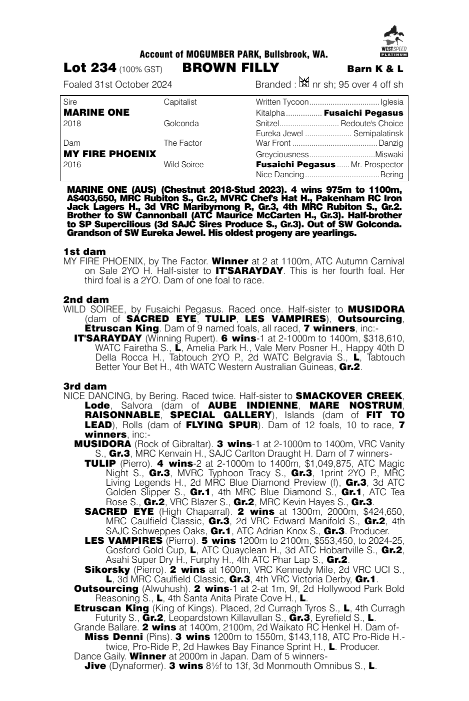 Pedigree - Lot 234