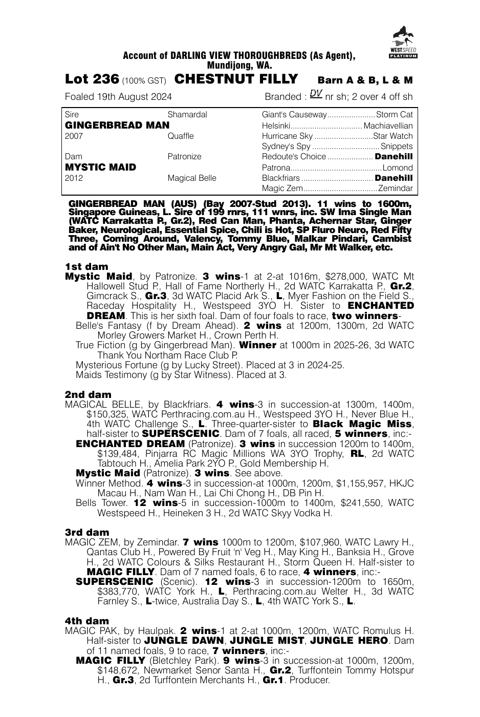 Pedigree - Lot 236