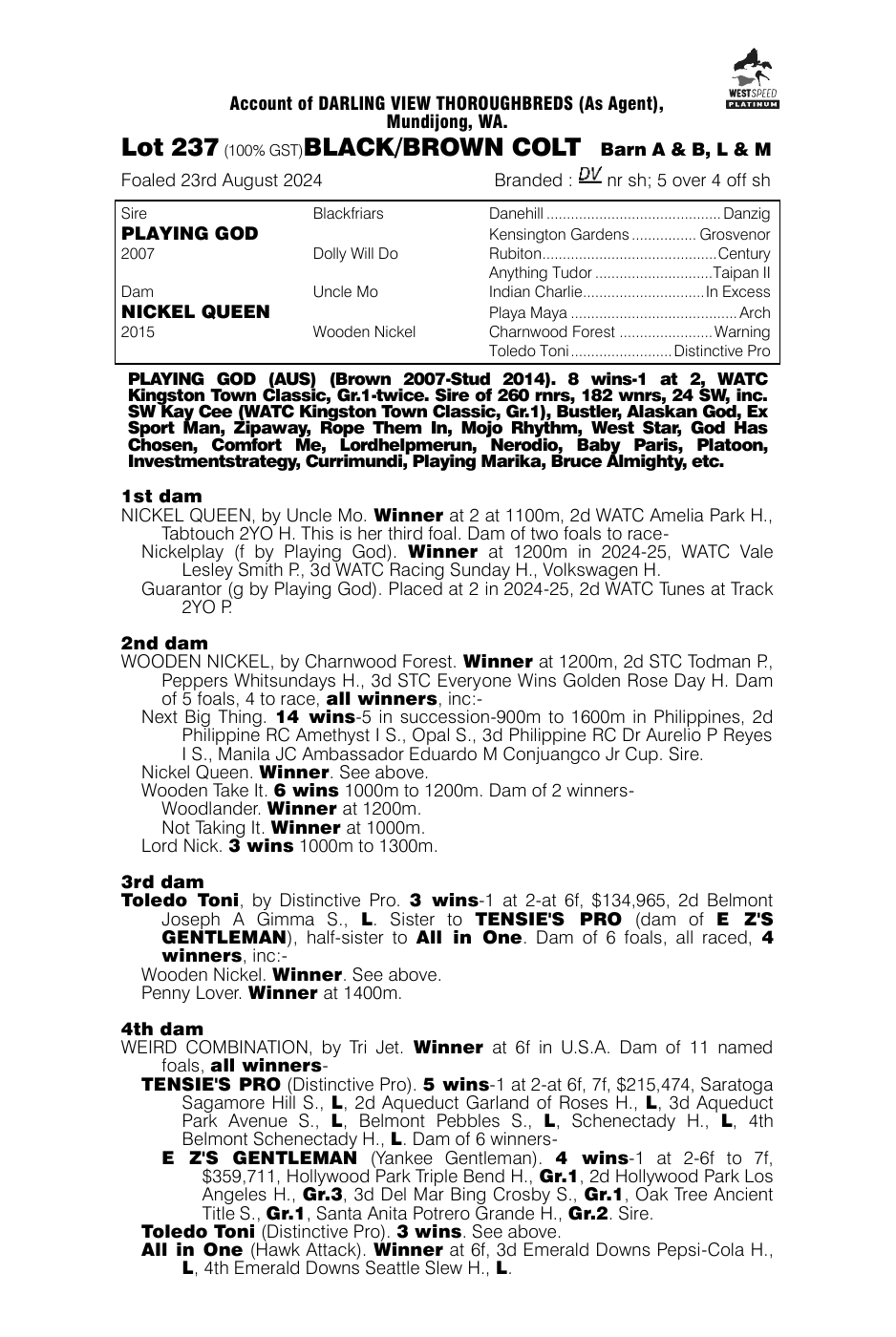 Pedigree - Lot 237