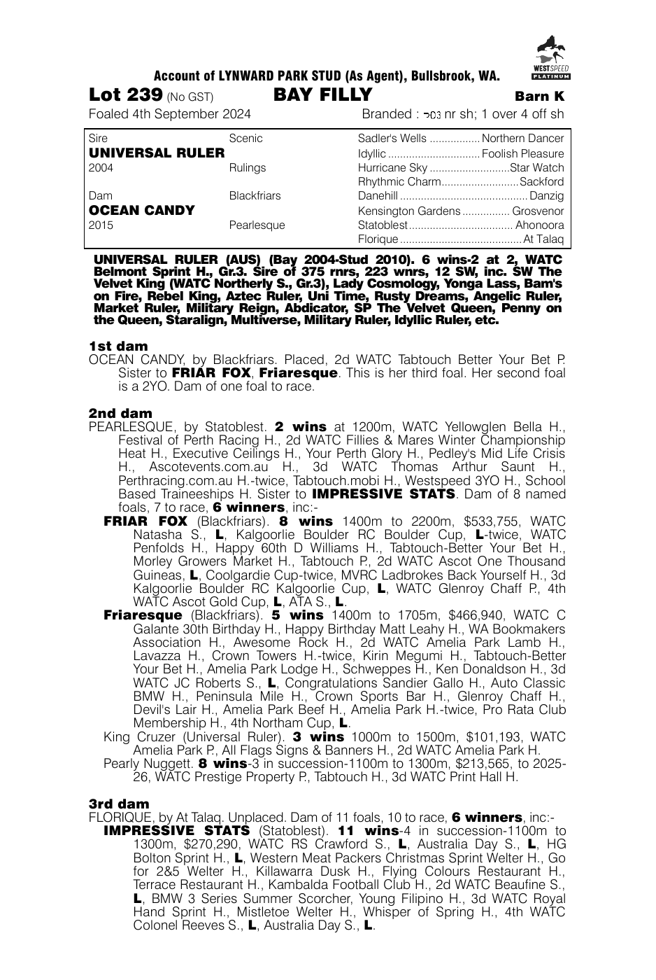 Pedigree - Lot 239