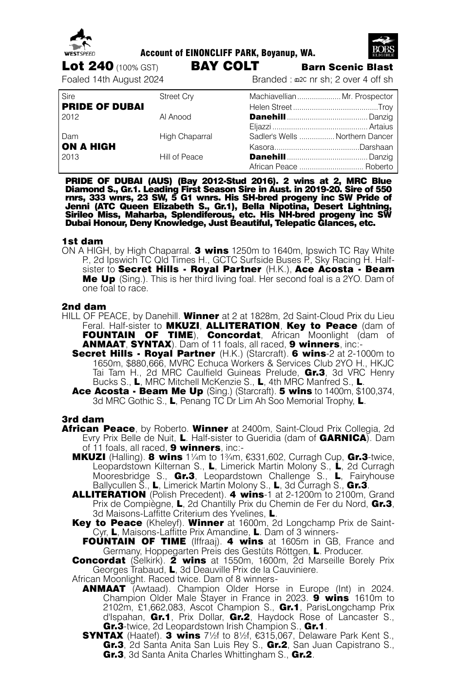 Pedigree - Lot 240
