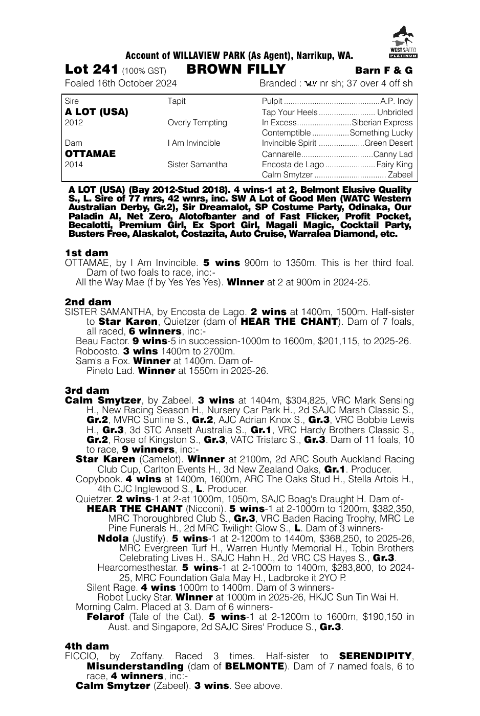 Pedigree - Lot 241