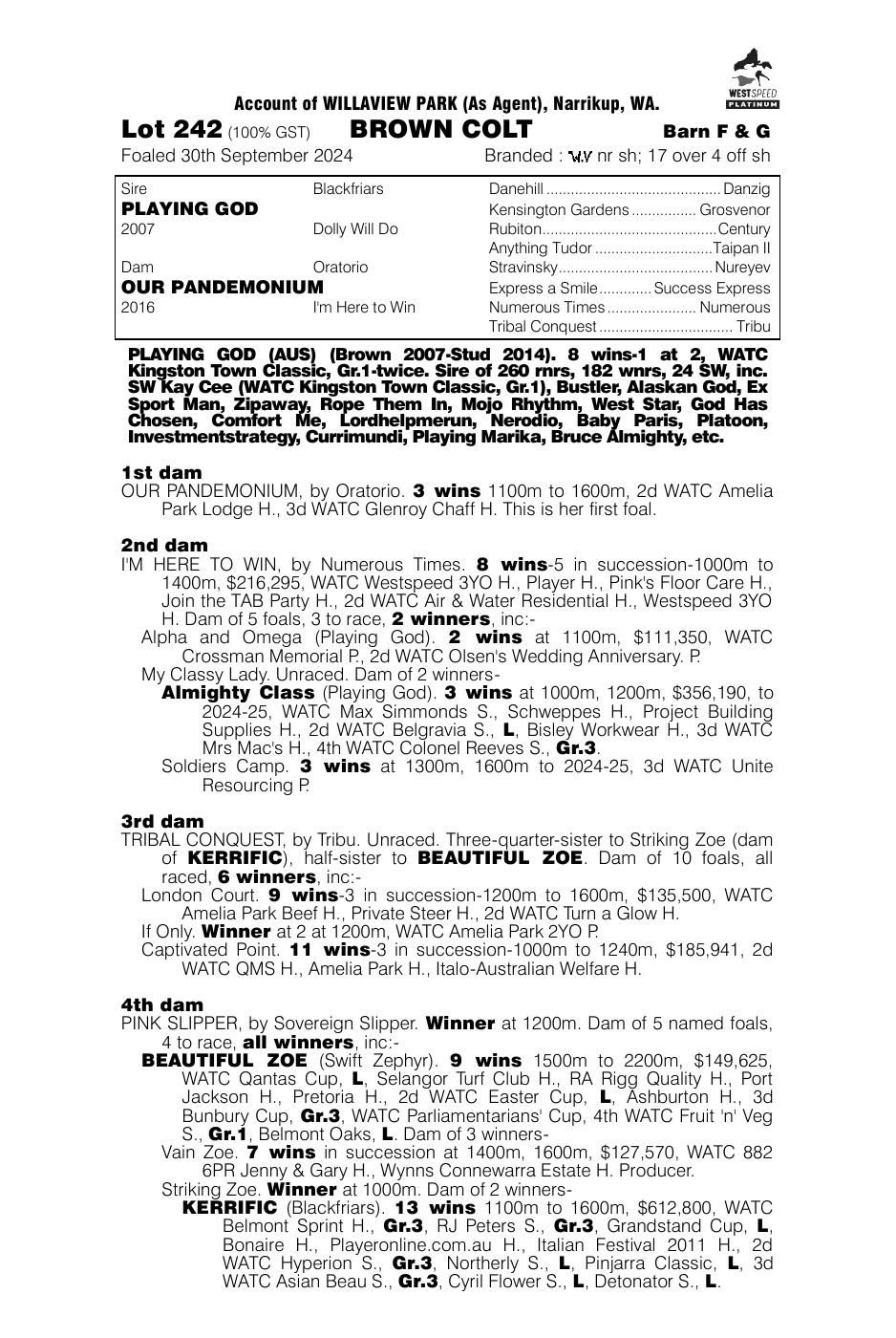 Pedigree - Lot 242