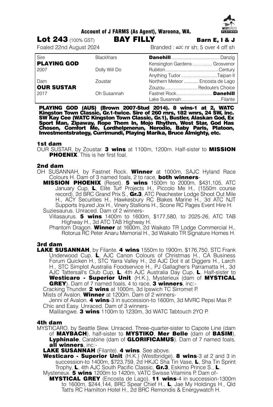 Pedigree - Lot 243