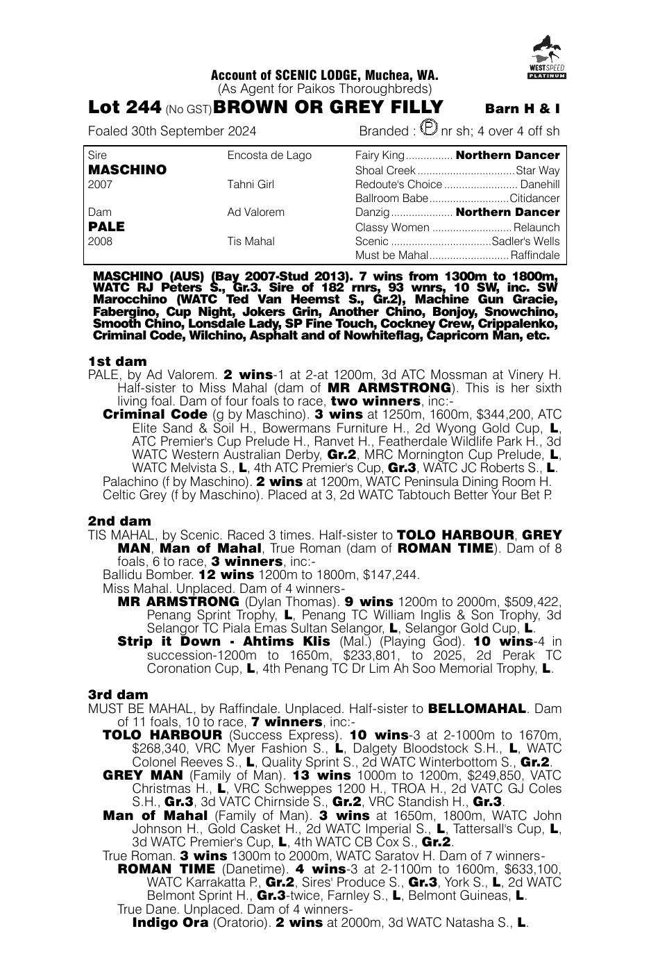 Pedigree - Lot 244