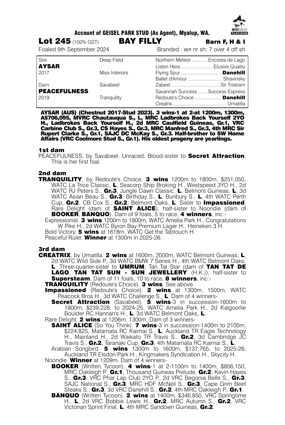 Pedigree - Lot 245