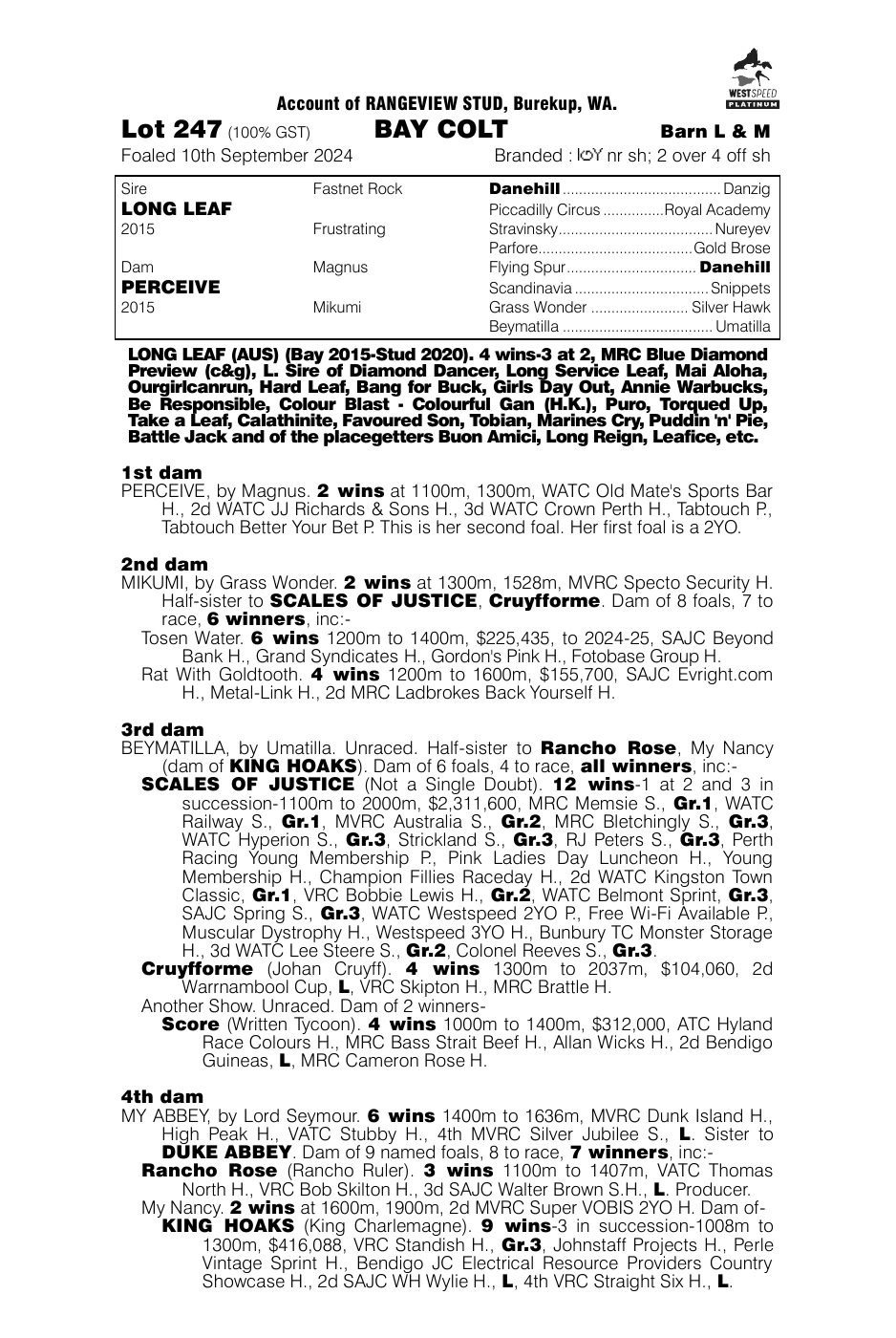 Pedigree - Lot 247