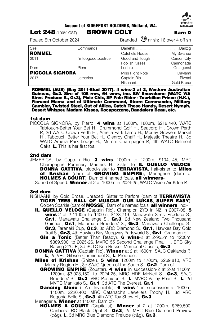 Pedigree - Lot 248