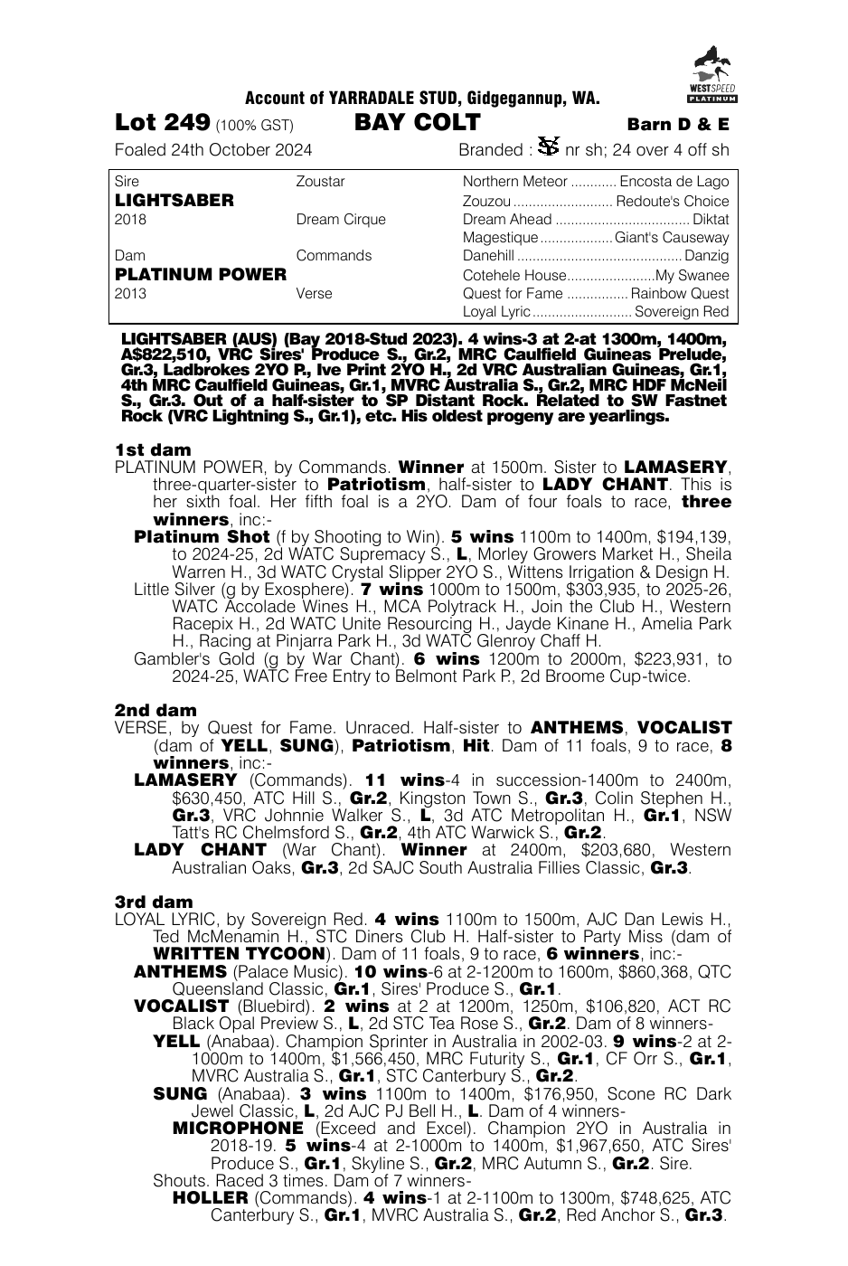 Pedigree - Lot 249