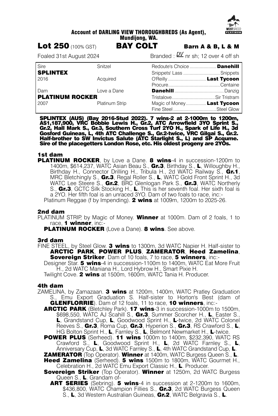 Pedigree - Lot 250